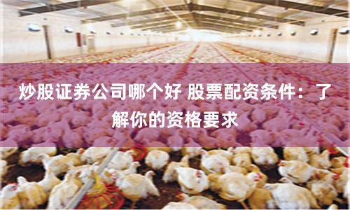 炒股证券公司哪个好 股票配资条件：了解你的资格要求